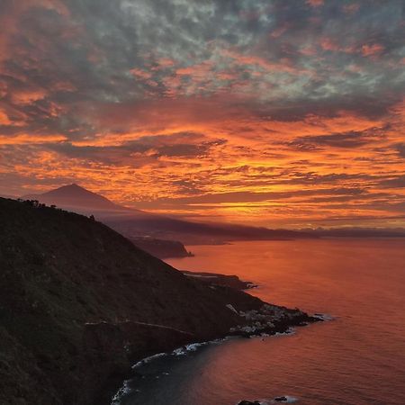 Best View Tenerife Vivienda Vacacional La Matanza De Acentejo Zewnętrze zdjęcie